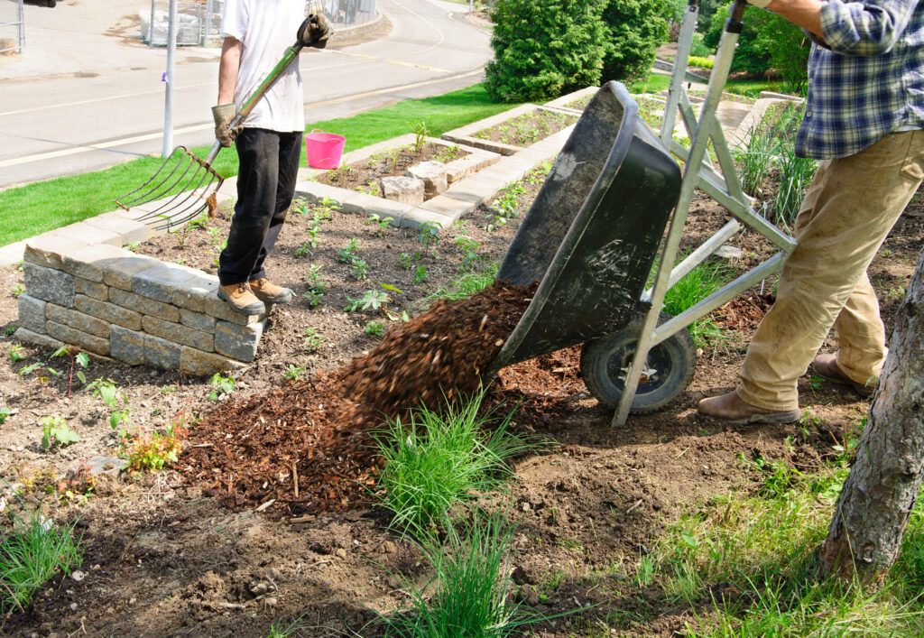 Landscaping Maintenance in Burlington, Iowa